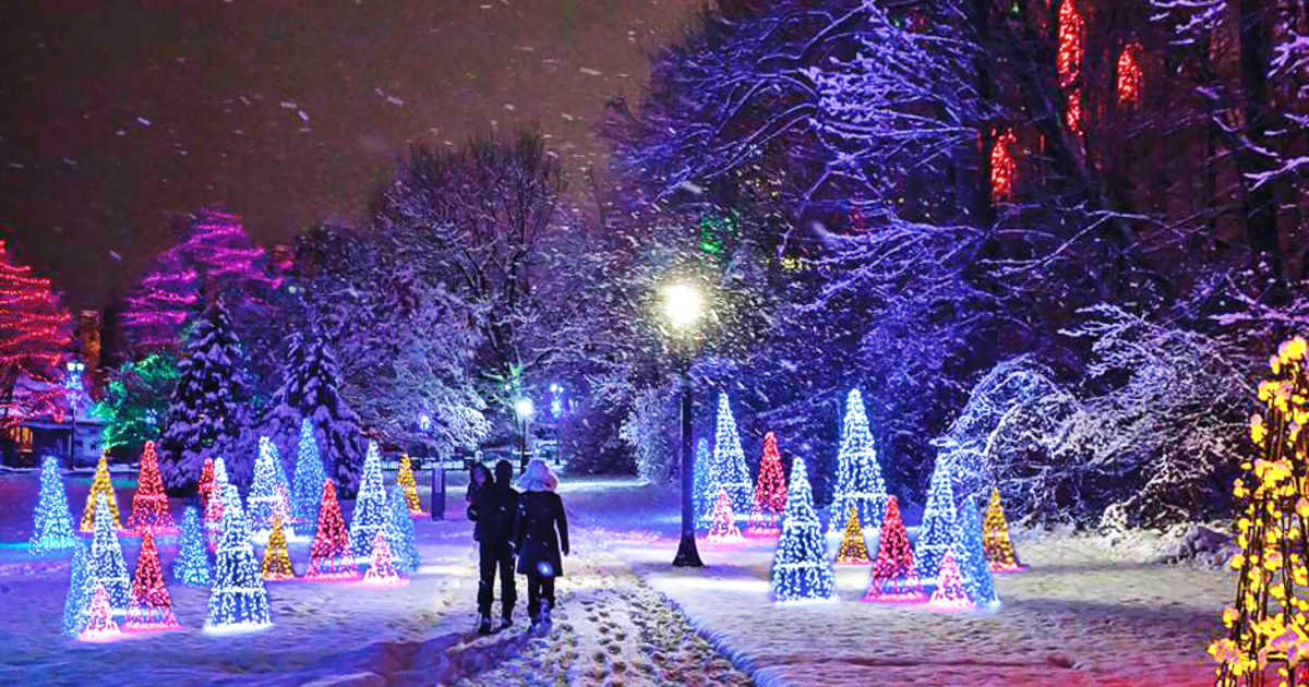 Winter Festival of Lights Kicks Off November 16, 2019