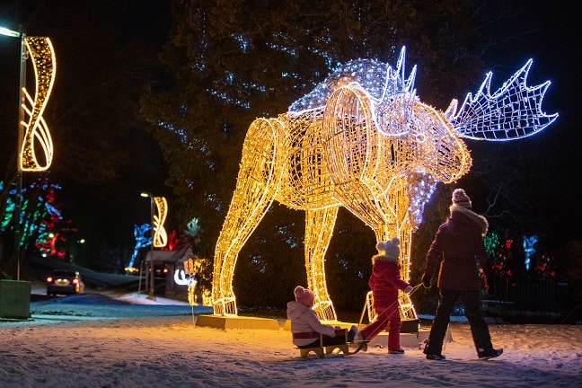 Christmas Lights Festival 2022 Niagara Falls Winter Festival Of Lights Set To Run 101 Nights!